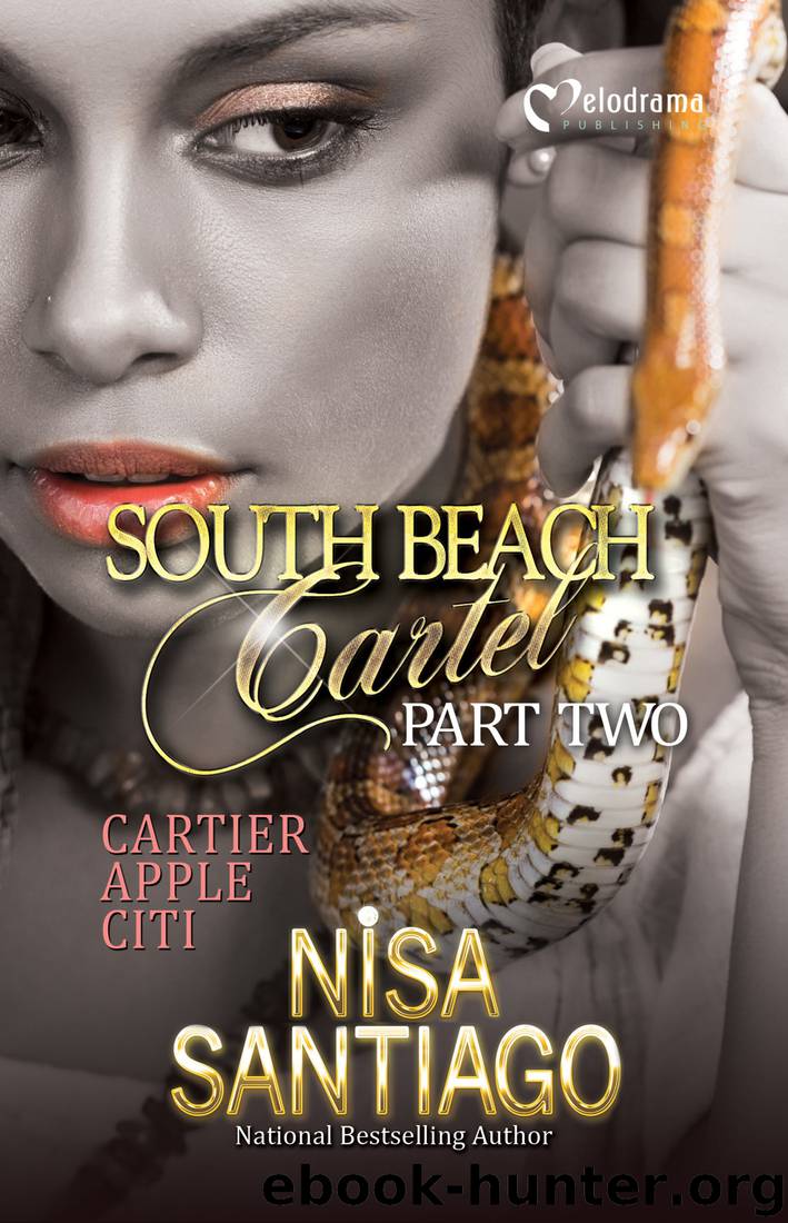 South Beach Cartel by Nisa Santiago