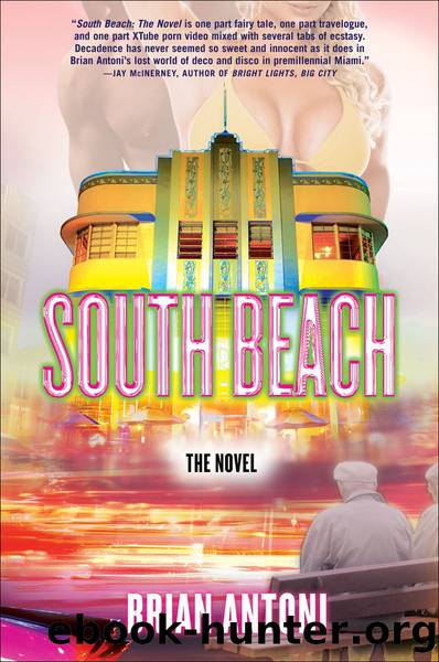 South Beach: the Novel by Brian Antoni