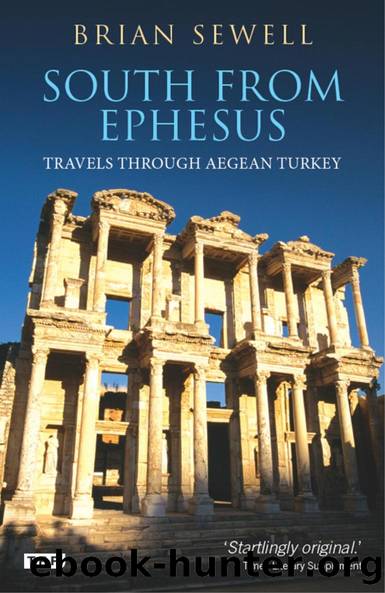 South from Ephesus by Brian Sewell