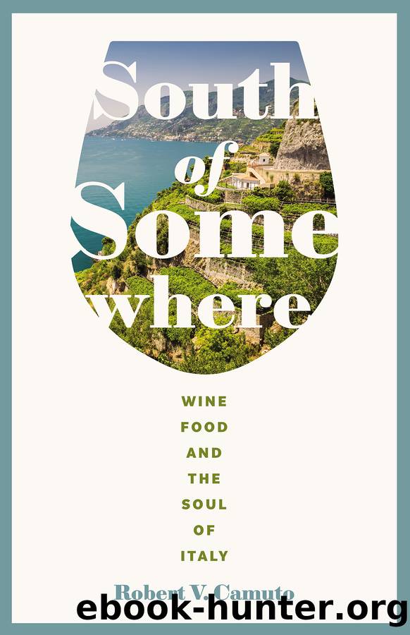 South of Somewhere by Robert V. Camuto