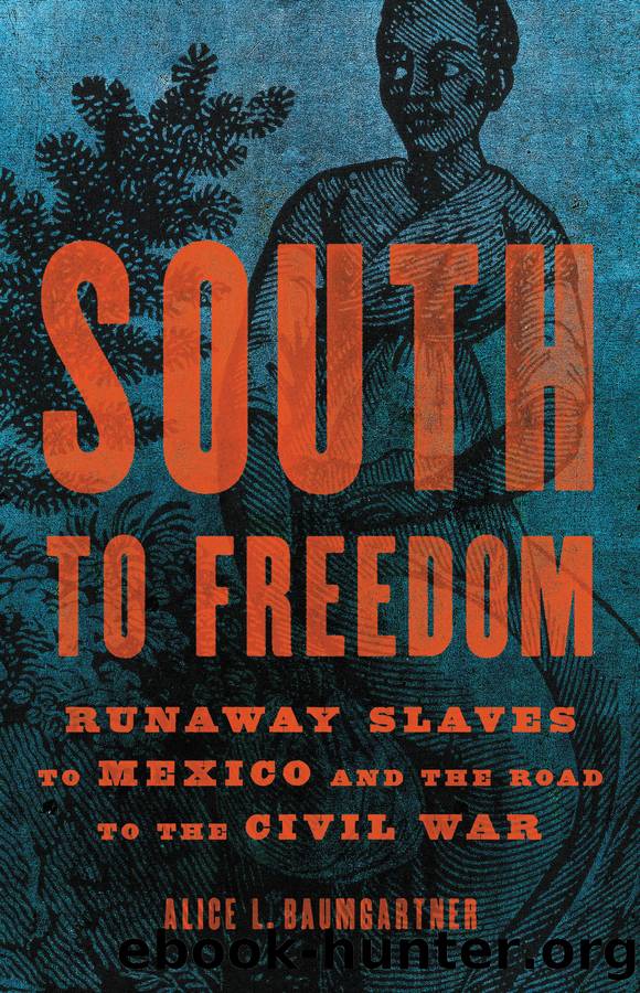 South to Freedom by Alice L Baumgartner