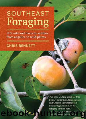 Southeast Foraging: 120 Wild and Flavorful Edibles from Angelica to Wild Plums by Bennett Chris