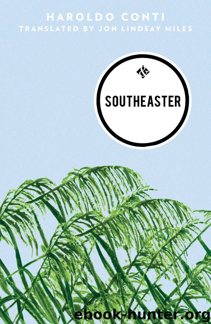 Southeaster by Haroldo Conti