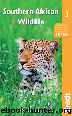 Southern African Wildlife by Unwin Mike;