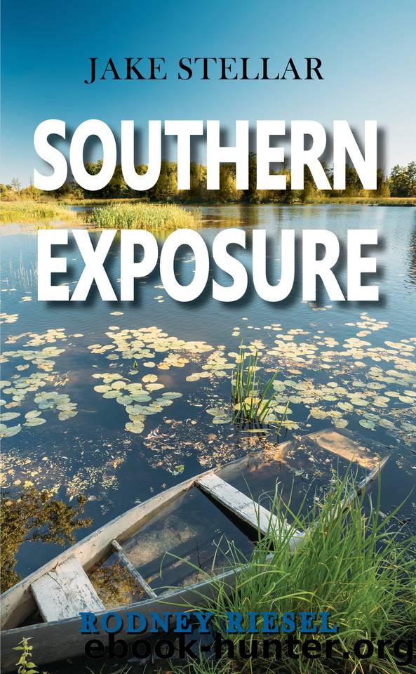 Southern Exposure (A Jake Stellar Series Book 7) by Riesel Rodney