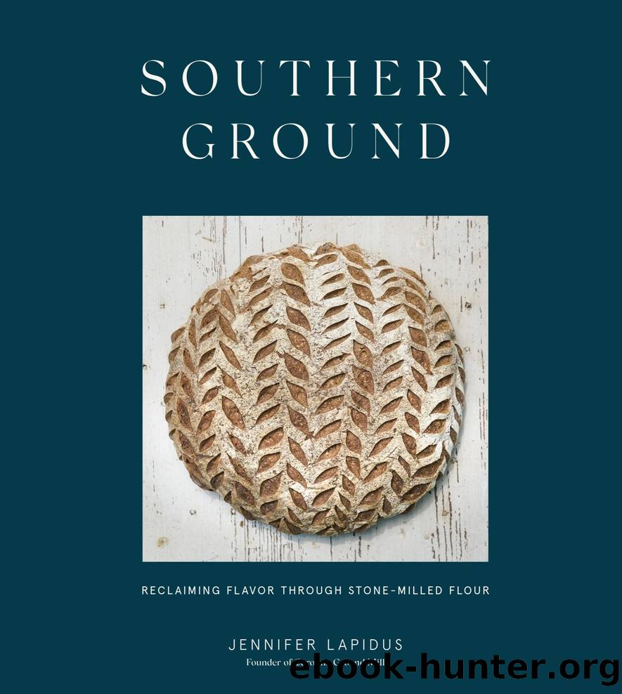 Southern Ground by Jennifer Lapidus