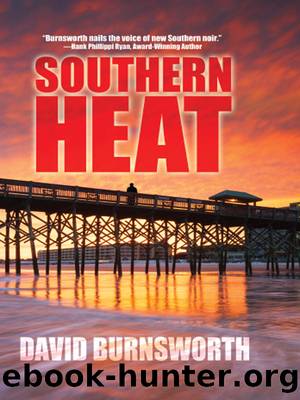 Southern Heat by David Burnsworth