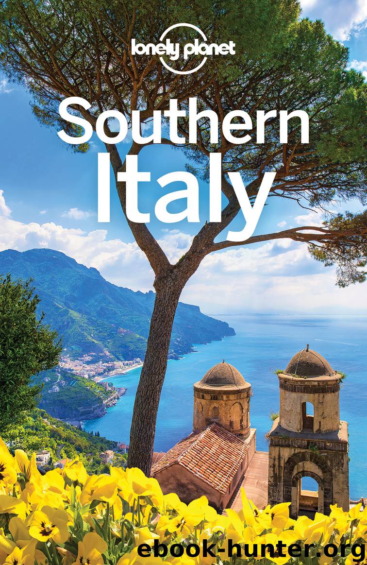 Southern Italy Travel Guide by Lonely Planet