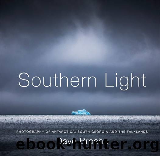 Southern Light by Dave Brosha