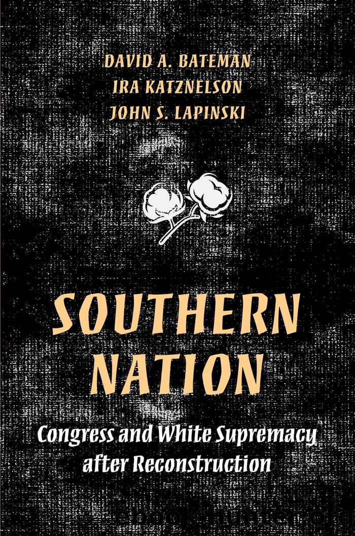 Southern Nation by unknow
