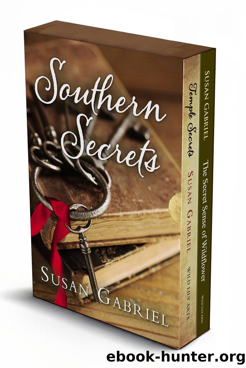 Southern Secrets by Susan Gabriel