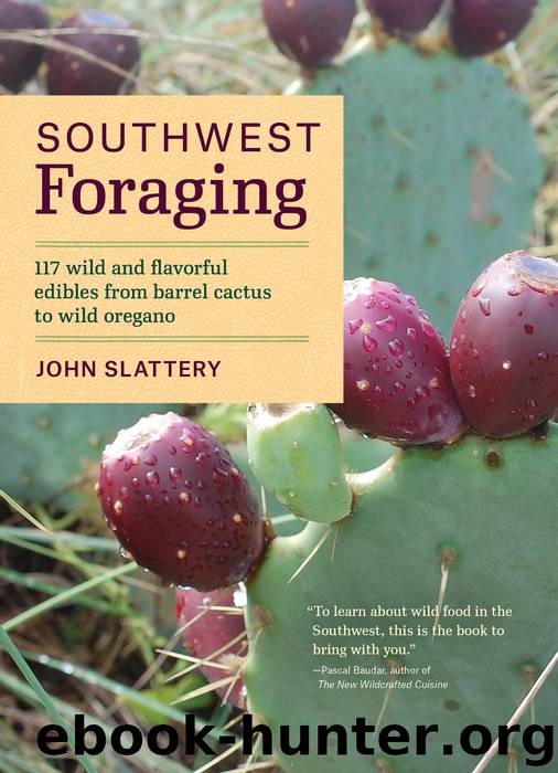 Southwest Foraging by John Slattery