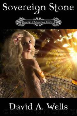 Sovereign Stone by David A Wells