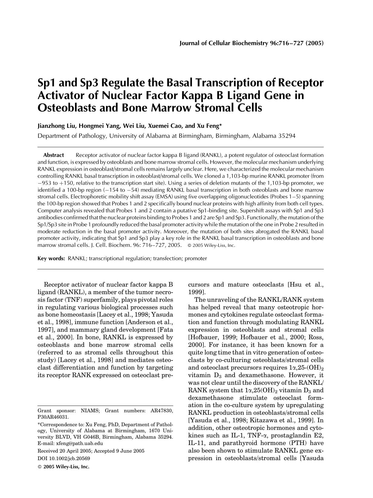 Sp1 and Sp3 regulate the basal transcription of receptor activator of nuclear factor kappa B ligand gene in osteoblasts and bone marrow stromal cells by Unknown