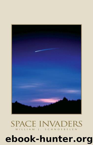 Space Invaders by Schnoebelen William J