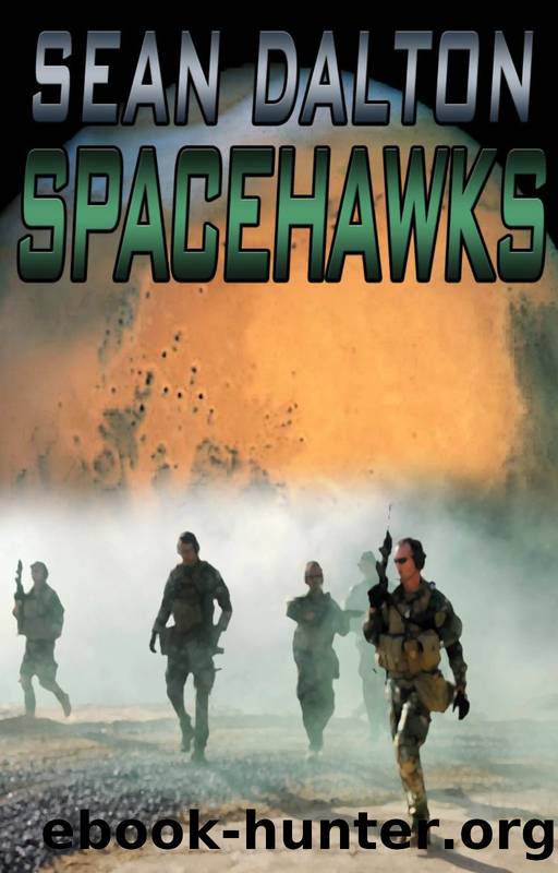 Spacehawks by Sean Dalton