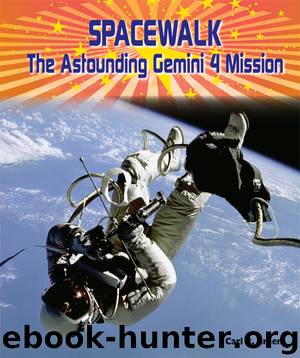 Spacewalk by Carl R. Green