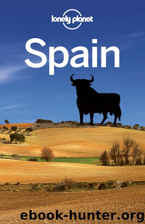 Spain Travel Guide by Lonely Planet