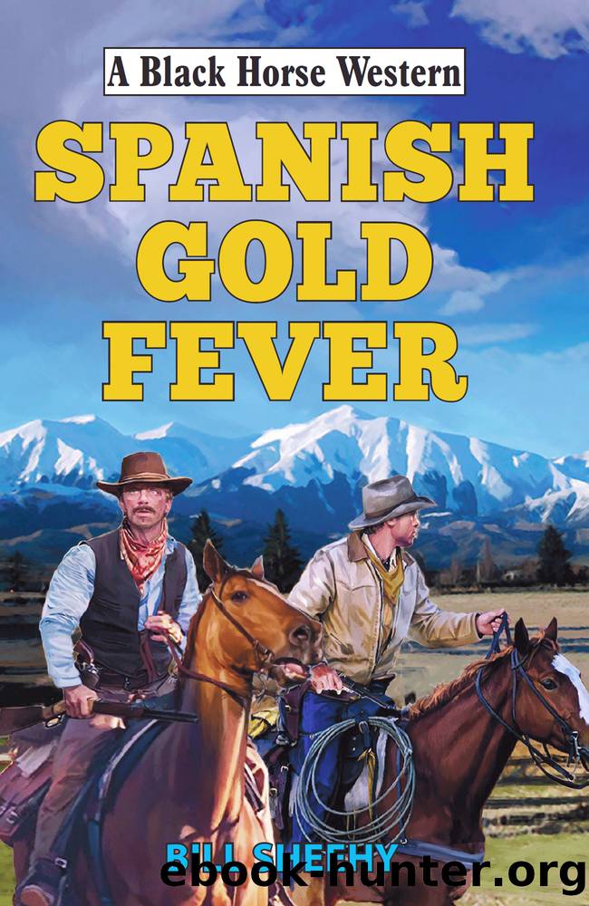 Spanish Gold Fever by Bill Sheehy