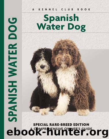 Spanish Water Dog by Cristina Desarnaud