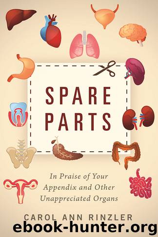 Spare Parts by Carol Ann Rinzler