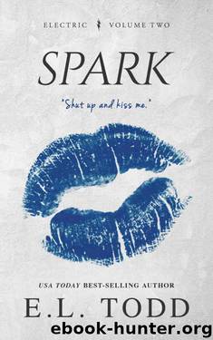 Spark (Electric Series #2) by E. L. Todd