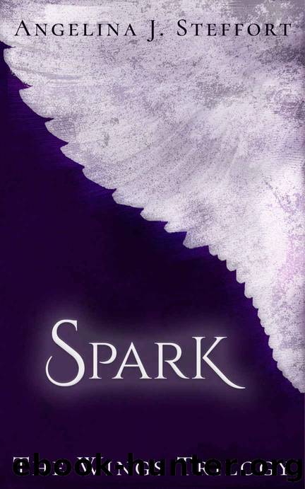 Spark by Angelina J. Steffort