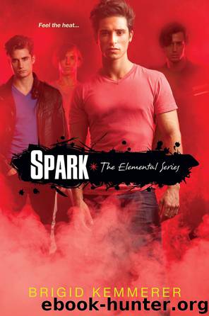 Spark by Brigid Kemmerer