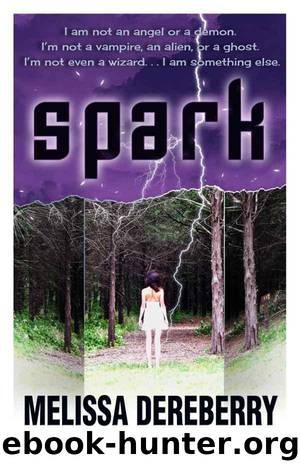 Spark by Dereberry Melissa