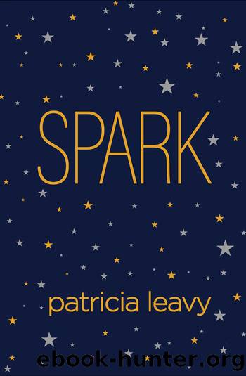 Spark by Patricia Leavy