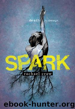 Spark by Rachael Craw