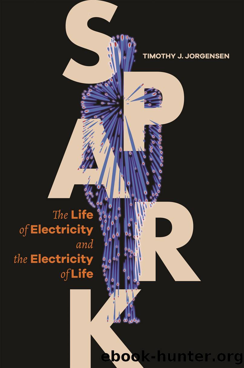 Spark by Timothy J. Jorgensen