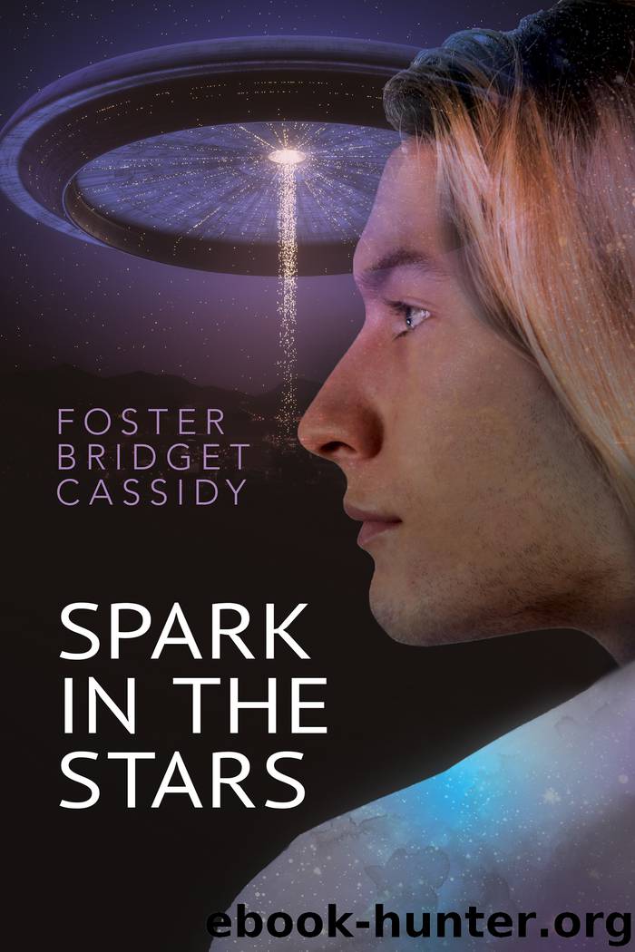 Spark in the Stars by Foster Bridget Cassidy