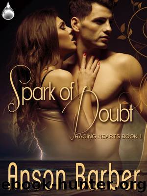 Spark of Doubt by Anson Barber