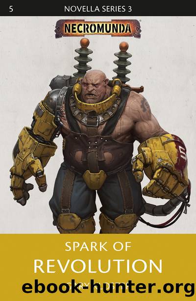 Spark of Revolution by Gary Kloster