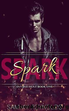 Spark: A Dark MM Romance by Sammy Reynolds