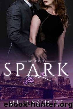 Spark: Book 1 (The Heat Series) by MJ Masucci