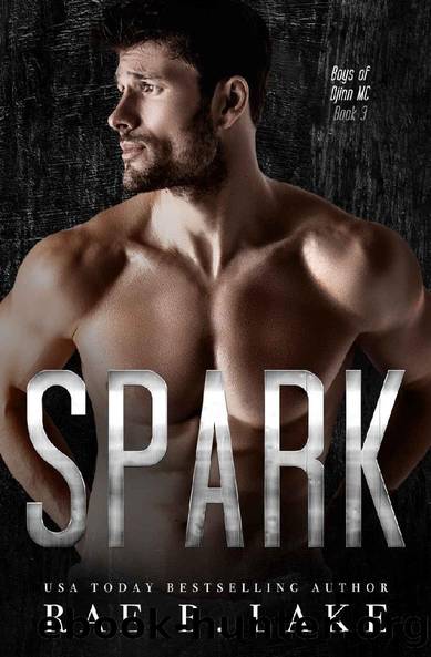 Spark: Boys of Djinn MC: A Gritty, MC Romantic Suspense Series by Rae B. Lake