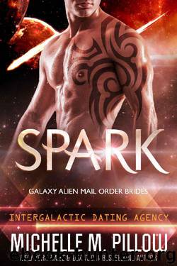 Spark: Galaxy Alien Mail Order Brides (Intergalactic Dating Agency) by Michelle M. Pillow