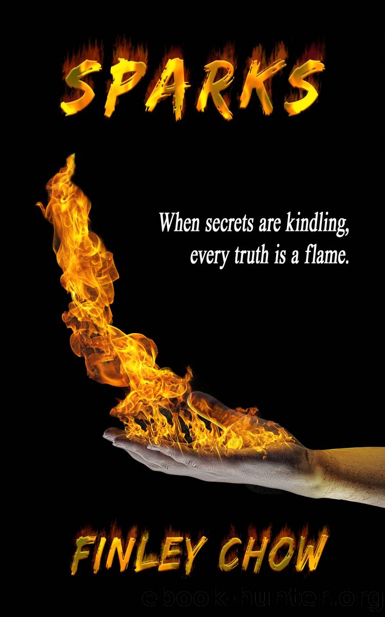 Sparks by Finley Chow