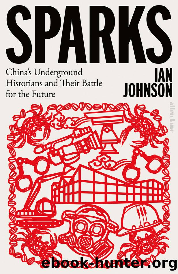 Sparks by Ian Johnson