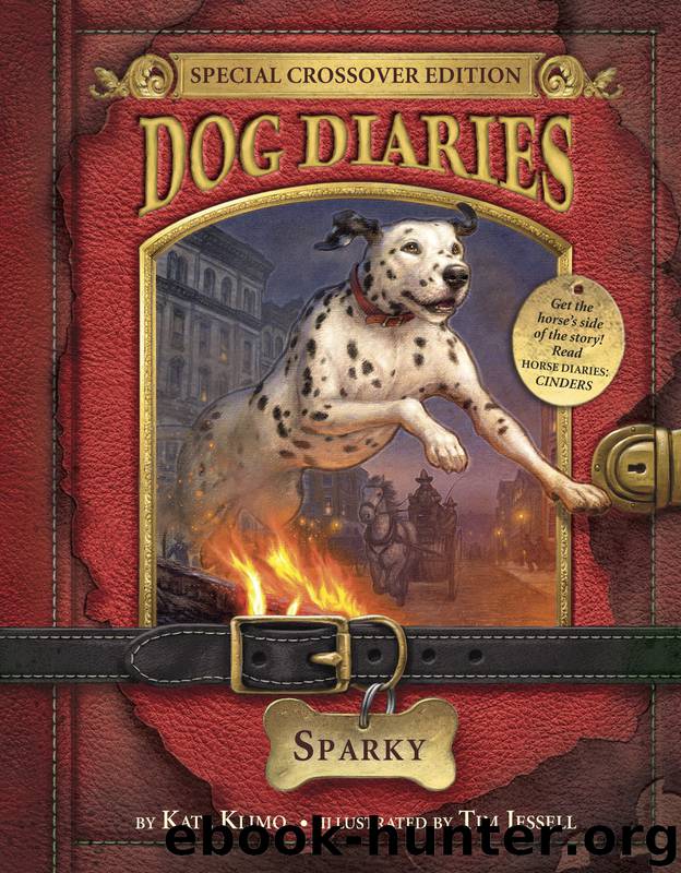 Sparky (Dog Diaries Special Edition) by Kate Klimo