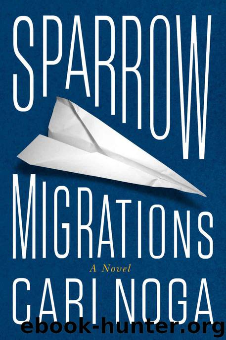 Sparrow Migrations by Noga Cari
