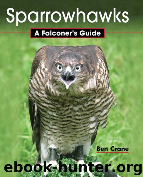 Sparrowhawks by Ben Crane