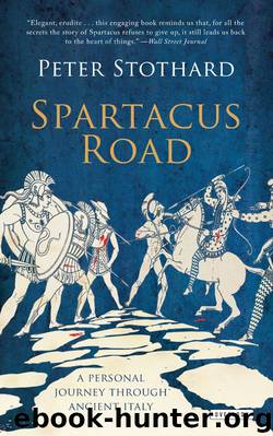Spartacus Road by Peter Stothard