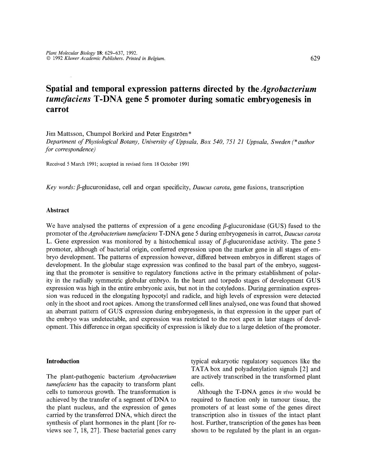 Spatial and temporal expression patterns directed by the <Emphasis Type="Italic">Agrobacterium tumefaciens <Emphasis> T-DNA gene 5 promoter during somatic embryogenesis in carrot by Unknown