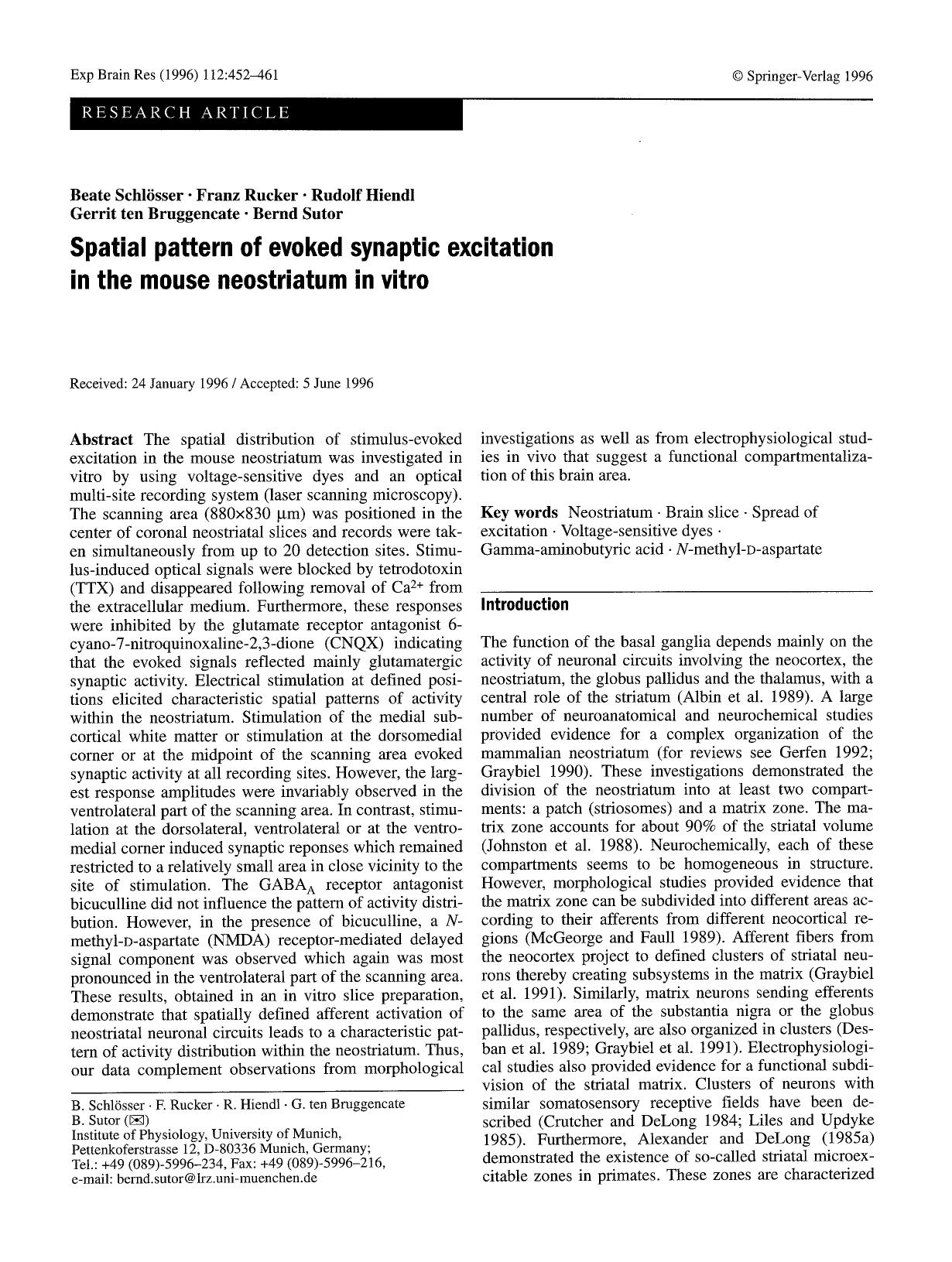 Spatial pattern of evoked synaptic excitation in the mouse neostriatum in vitro by Unknown