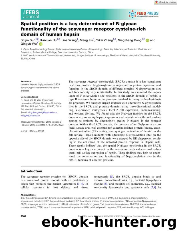 Spatial position is a key determinant of Nâglycan functionality of the scavenger receptor cysteineârich domain of human hepsin by Unknown