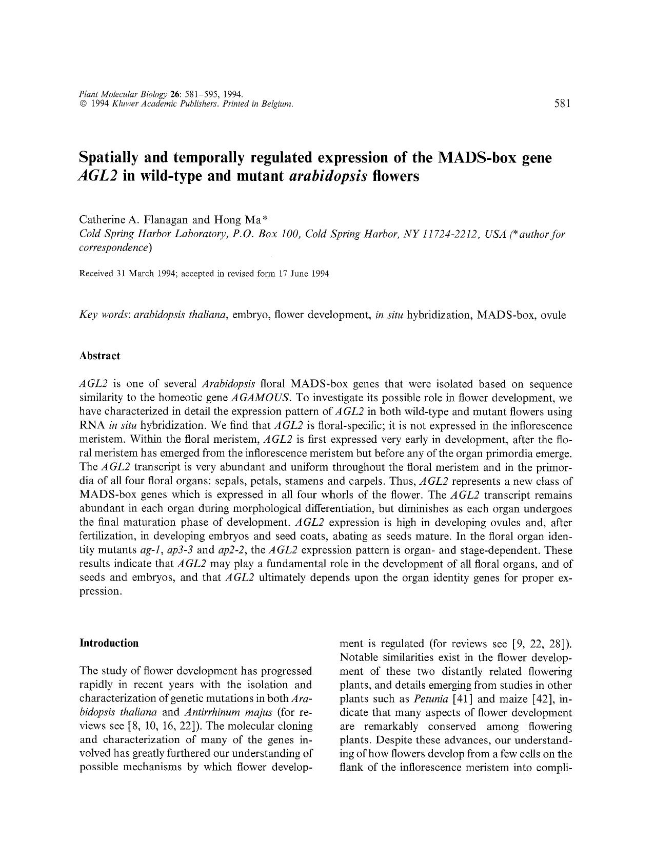 Spatially and temporally regulated expression of the MADS-box gene <Emphasis Type="Italic">AGL2 <Emphasis> in wild-type and mutant <Emphasis Type="Italic">arabidopsis <Emphasis> flowers by Unknown