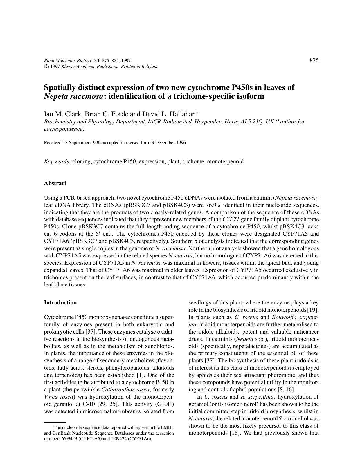 Spatially distinct expression of two new cytochrome P450s in leaves of Nepeta racemosa: identification of a trichome-specific isoform by Unknown